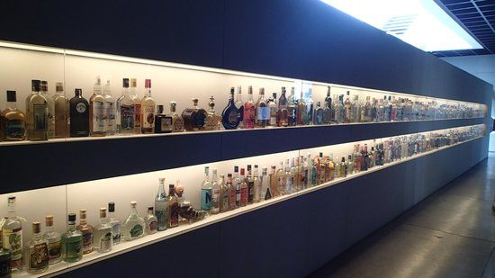 Tequila and Mezcal Museum